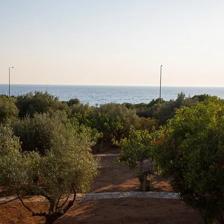 Chalé Beachfront House With Sea View In Thimari Sounio Sounion