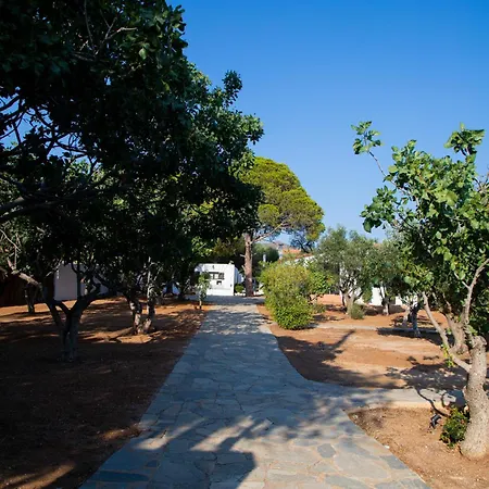 Beachfront House With Sea View In Thimari Sounio * Sounion