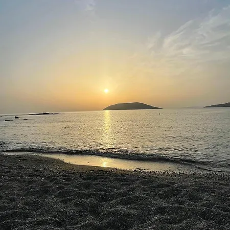 Beachfront House With Sea View In Thimari Sounio *